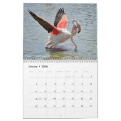 動物の12か月カレンダー カレンダー (1月 2026)