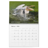 動物の12か月カレンダー カレンダー (2月 2026)