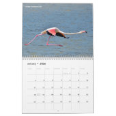 動物の12か月カレンダー カレンダー (1月 2026)