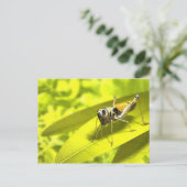 動物はがき34 ポストカード (スタンド正面)