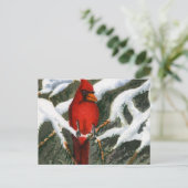 動物はがき ポストカード (スタンド正面)