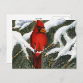 動物はがき ポストカード (正面/裏面)