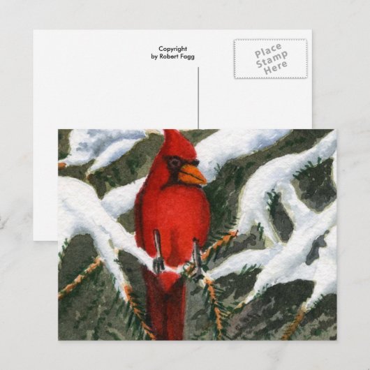 動物はがき ポストカード (正面/裏面)