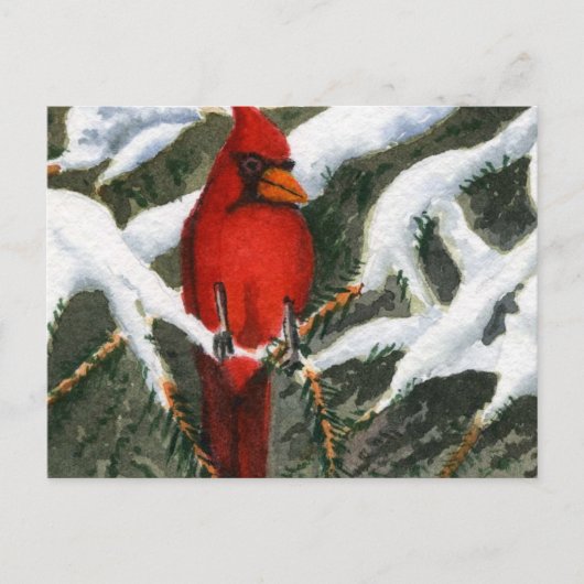 動物はがき ポストカード (正面)