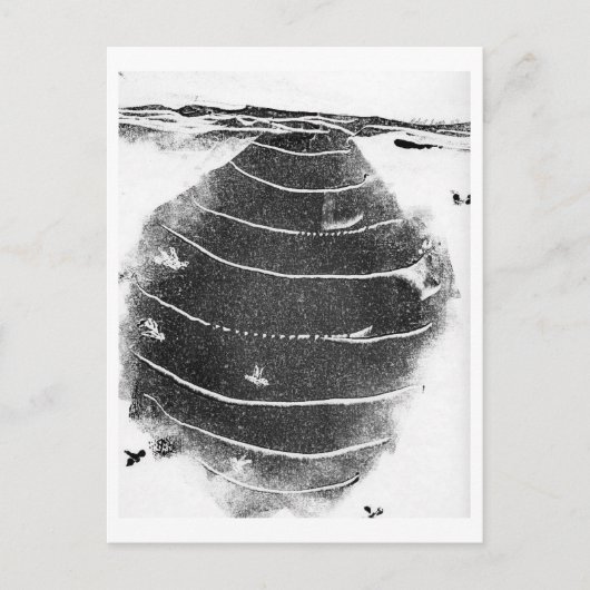 動物はがき ポストカード (正面)