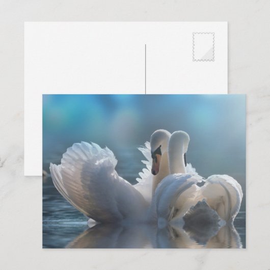 動物はがき ポストカード (正面/裏面)