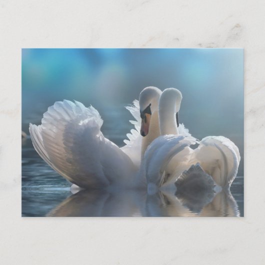 動物はがき ポストカード (正面)