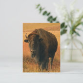 動物はがき ポストカード (スタンド正面)