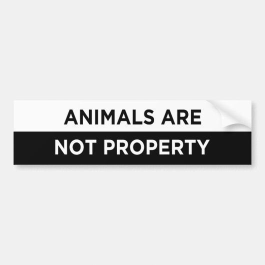 動物は所有物ではないビーガン バンパーステッカー (正面)
