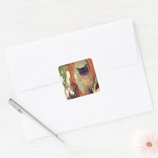 動物をポーズにしたシャム猫 スクエアシール (封筒)