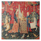 動物を使った遊ユニコーンとレディの臓器 タイル (正面)