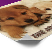 動物を飼うのを待つのか。 ポスター (角)