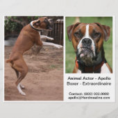 動物アクターコンプカードヘッドショット チラシ (裏面)