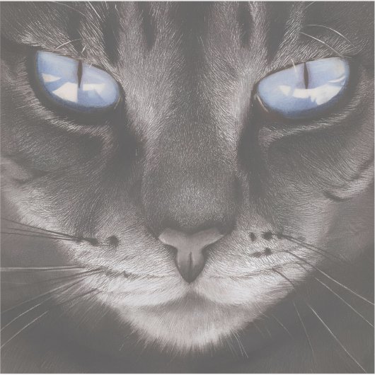 動物アニメスタイル6 シール (正面)