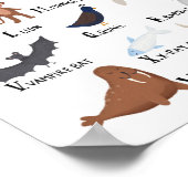 動物アルファベットチャート A-Z アートプリント ポスター (角)