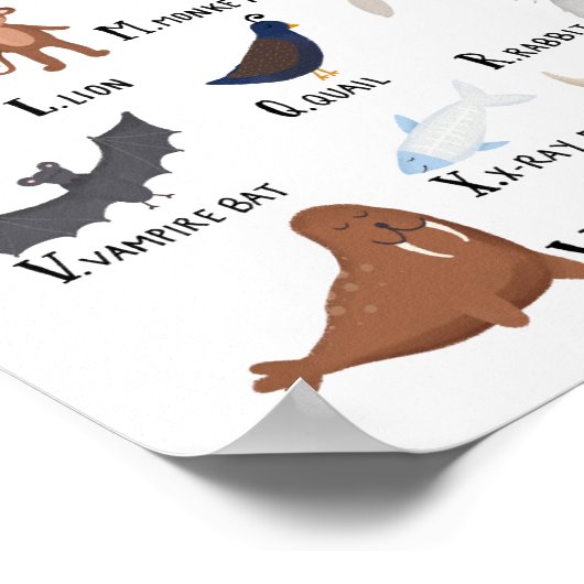 動物アルファベットチャート A-Z アートプリント ポスター (角)