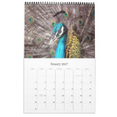 動物カレンダー2012 カレンダー (1月 2027)