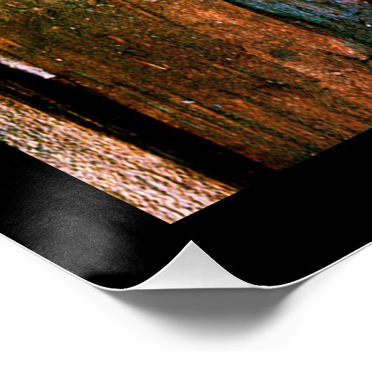 動物ガイド ポスター (コーナー)