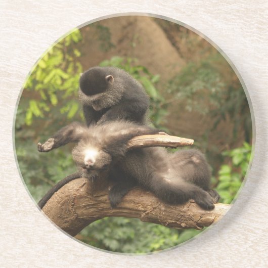 動物シリーズ – - – ノミを探しているサル コースター (正面)