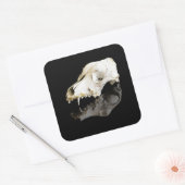 動物スカル スクエアシール (封筒)