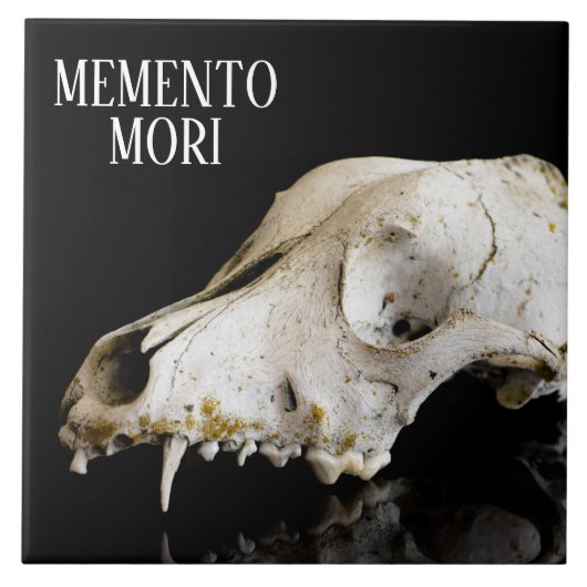 動物スカル タイル (正面)