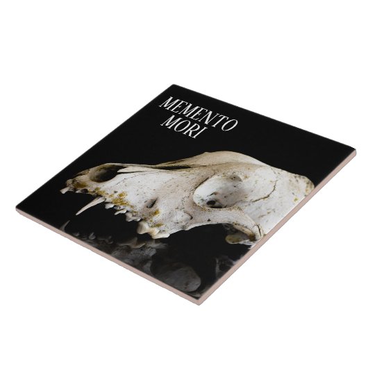 動物スカル タイル (側面)