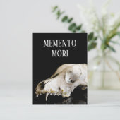 動物スカル ポストカード (スタンド正面)