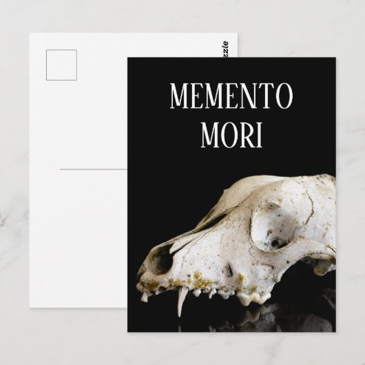 動物スカル ポストカード (正面/裏面)