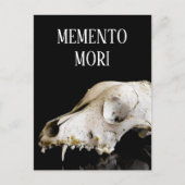 動物スカル ポストカード (正面)