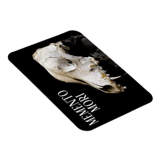 動物スカル マグネット (右側)