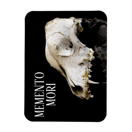 動物スカル マグネット (縦)