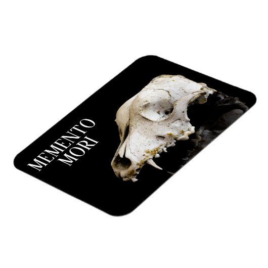 動物スカル マグネット (左側)