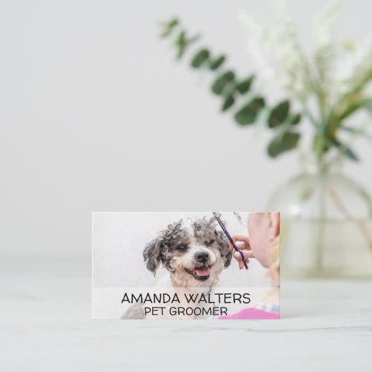 動物トリマー |犬のヘアカット 名刺 (スタンド正面)