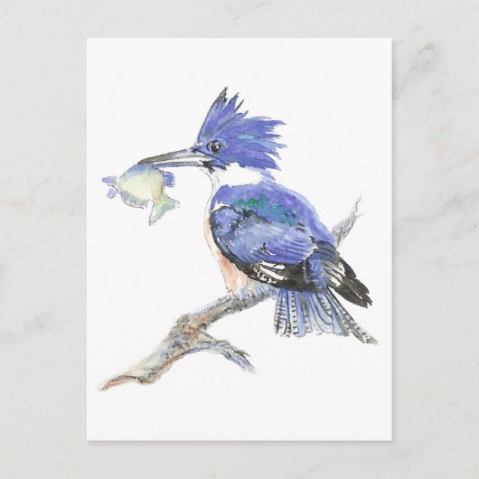 動物トーテム、スピリチュアル、インスピレーション勇気付けられる ポストカード (正面)