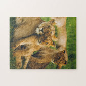 動物パズル母と赤ちゃん動物ライオン写真 ジグソーパズル (横)