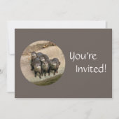 動物パーソナライズされた園の誕生日パーティーのアターズデー 招待状 (正面)