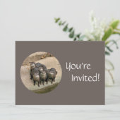 動物パーソナライズされた園の誕生日パーティーのアターズデー 招待状 (スタンド正面)