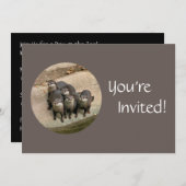 動物パーソナライズされた園の誕生日パーティーのアターズデー 招待状 (正面/裏面)