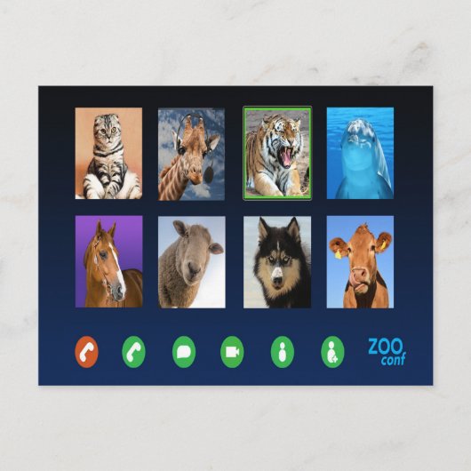 動物ビデオ会議 ポストカード (正面)