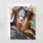 動物ベビートイレ事故 ポストカード (正面/裏面)