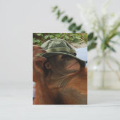 動物ベビー昼寝時間 ポストカード (スタンド正面)