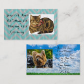 動物ペット着席猫犬の事務所の心配 名刺 (正面/裏面)