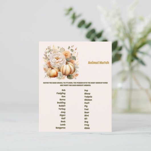 動物マッチ赤ちゃんシャワーゲーム (スタンド正面)