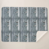 動物マリンアニマルダイブコージーデスティニーズデスティニー シェルパブランケット (正面(横))