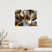 動物モルモット食べズの果実 ポスター (キッチン)