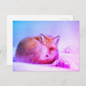 *~*動物ユニーク赤キツネAp18芸術的野生動物 ポストカード (正面/裏面)