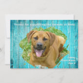 動物保護シェルター感謝フォトテンプレート 木製カード 招待状 (正面)