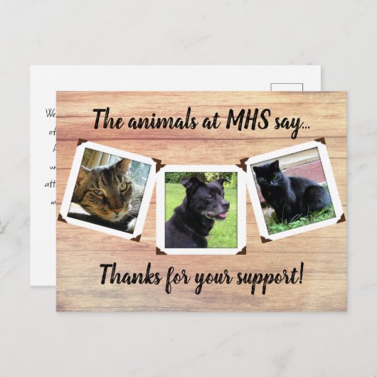 動物保護施設 三枚組写真テンプレート サンクス ポストカード (正面/裏面)