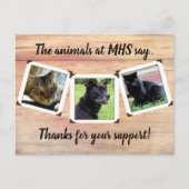 動物保護施設 三枚組写真テンプレート サンクス ポストカード (正面)
