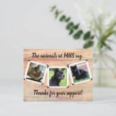 動物保護施設 三枚組写真テンプレート サンクス ポストカード (スタンド正面)